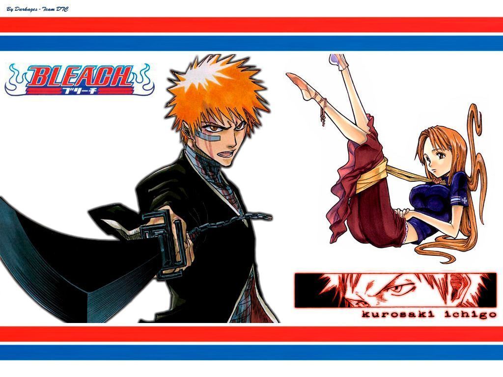 Bleach 167 vostfr